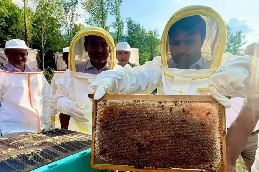 Bakan Kacır duyurdu: Yenice ıhlamur balı Avrupa Birliği'nden tecil aldı