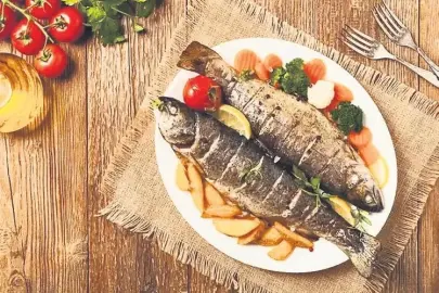 Lüferin büyüğü kofana