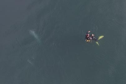 Sapanca Gölü'nde endişe yaratan kabarcıklar görüntülendi: Uzmanından ‘deprem’ açıklaması