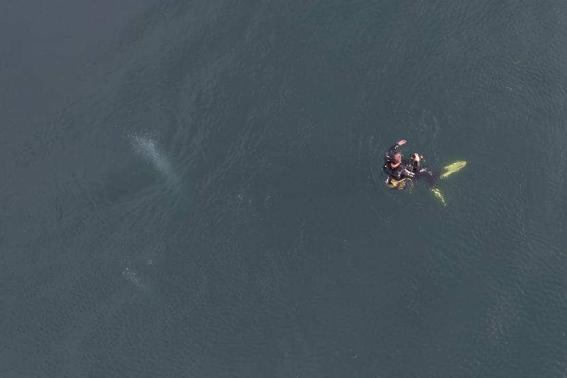 Sapanca Gölü'nde endişe yaratan kabarcıklar görüntülendi: Uzmanından ‘deprem’ açıklaması