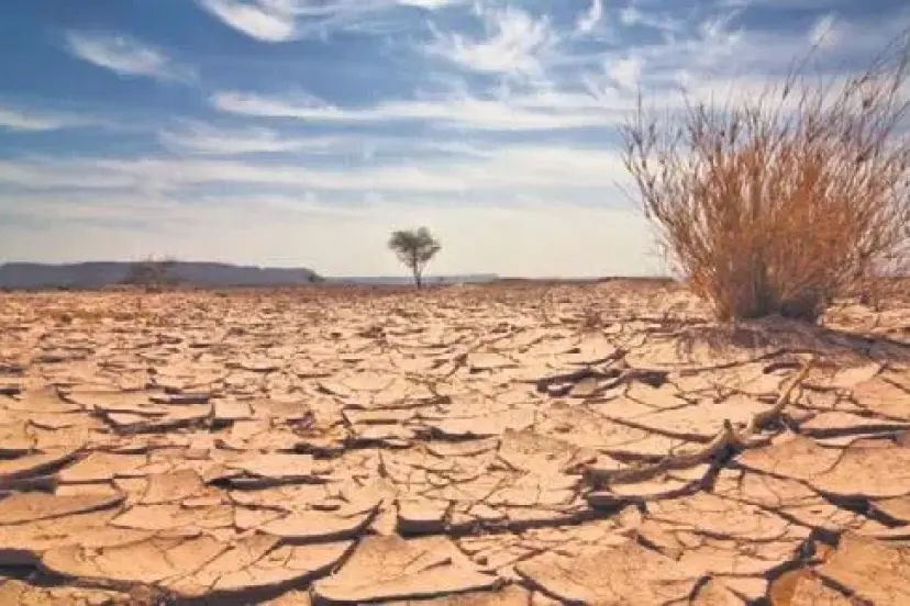 Su güvenliği bakanlığı kurulmalı