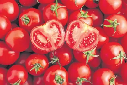 Kırmızı şifa: Likopen